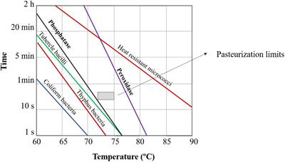 The Importance of Heating Unit Operations in the Food Industry to Obtain Safe and High-Quality Products